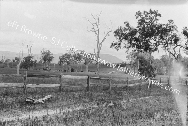 VIEW WITH FENCE